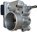 Throttle Body Assembly