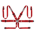 6-Point Racing Harness