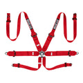 6-Point Racing Harness