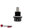 Magnetic Oil Drain Plug