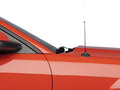 Running Boards