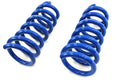 Lowering Springs