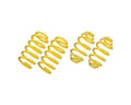 ST Lowering Springs