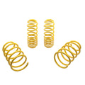 Sport Coil Spring Set