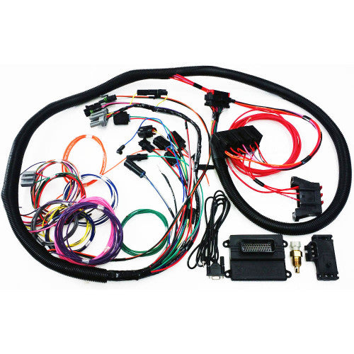 Microsquirt Plug & Play Engine Management System