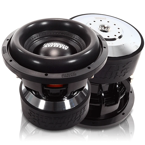 10-Inch Dual 2 Ohm Subwoofer