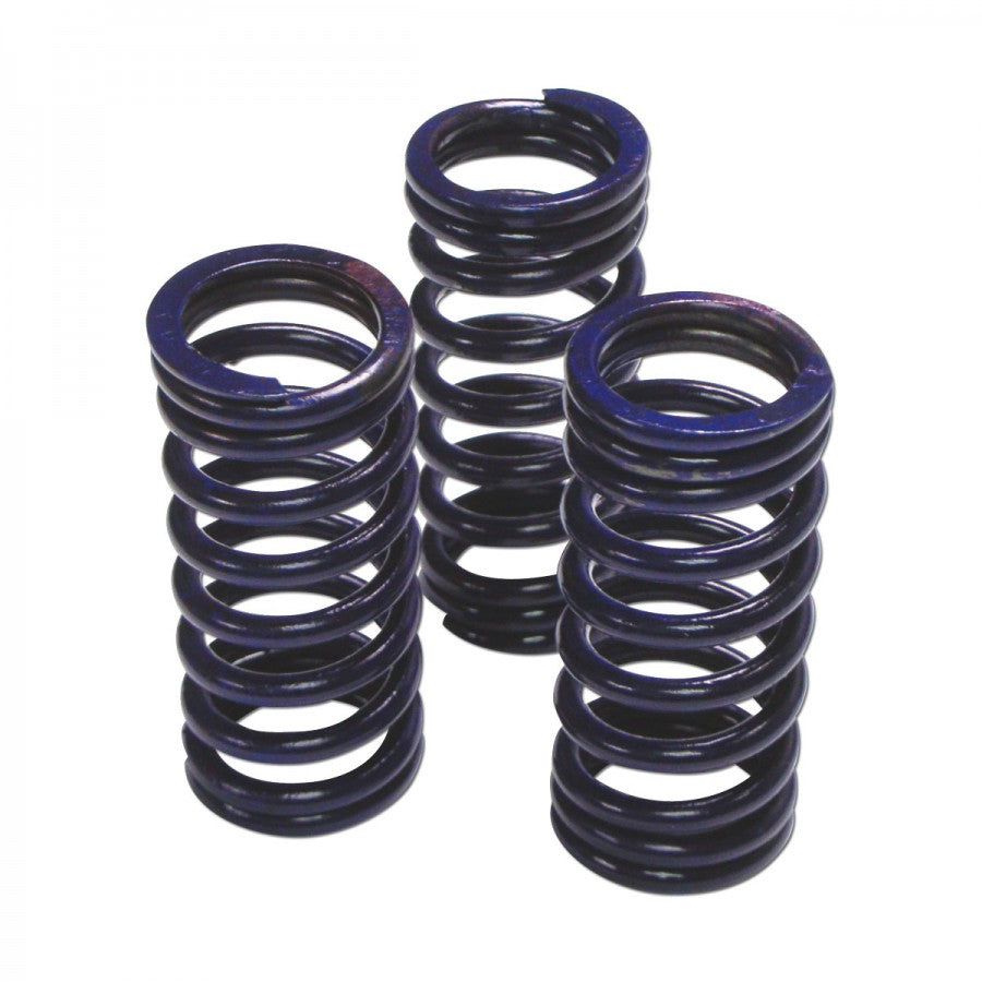 Accumulator Spring Set