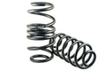 Spec-R Lowering Springs
