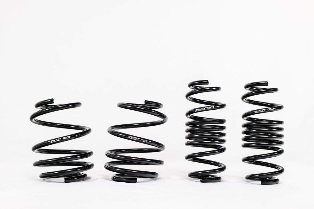 Spec-R Lowering Springs