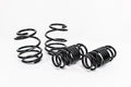 Spec-R Lowering Springs