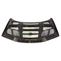 GTR Carbon Fiber Hood