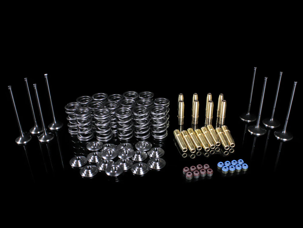 Dual Valve Spring Kit with Forged Stainless Steel Race