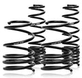 SPEC-R Lowering Springs