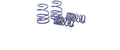 Storm Spring Extra-Low Lowering Springs
