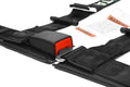 4 Point Street Belt