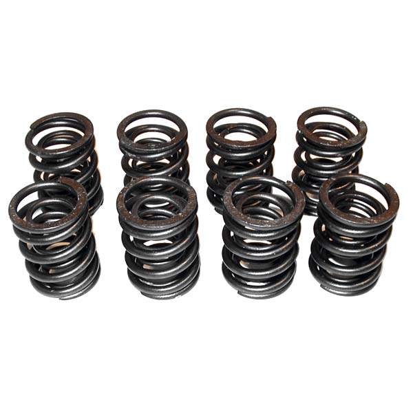 Heavy-Duty Valve Springs Set