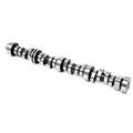 LT1 Stage 1 V2 Camshaft