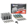 TSP-LT1660 Dual Valve Spring Kit