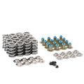 TSP-LT1660 Dual Valve Spring Kit