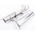 Cat-Back Exhaust System w/ 3-Inch Tubing, 4.5-Inch Tips