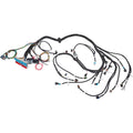 LS1/T56 Drive By Wire Harness