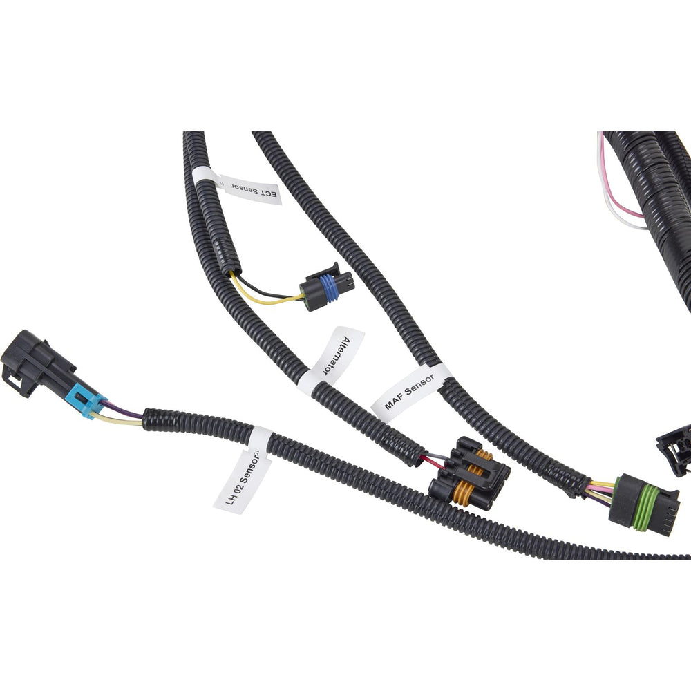LS1/T56 Drive By Wire Harness