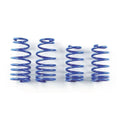 Progressive Lowering Springs