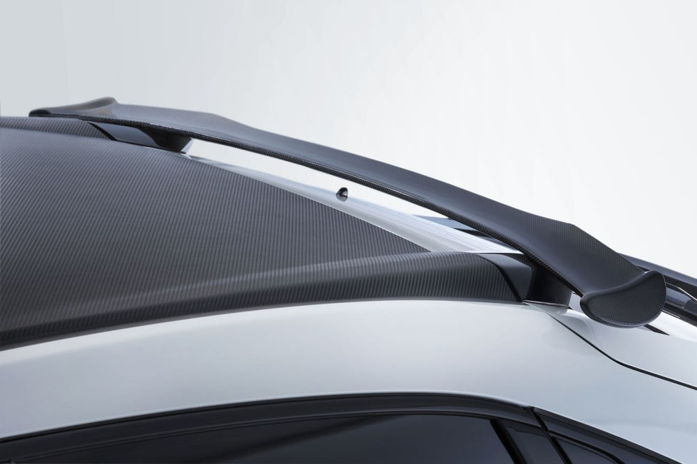 Carbon Roof Spoiler
