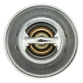 Stant Thermostat