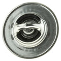Stainless Steel Radiator Cap