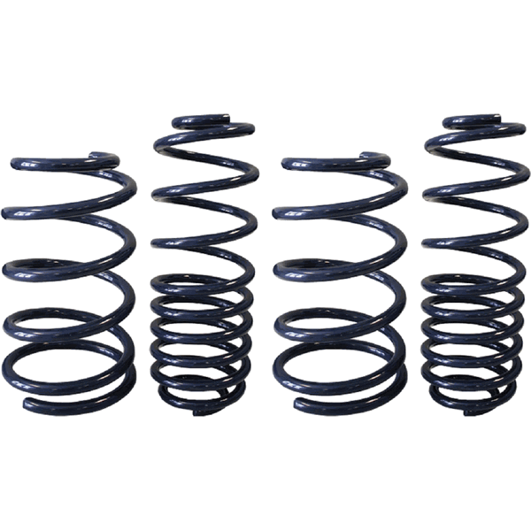 Lowering Spring Set, 1-Inch Front and 1.25-Inch Rear Drop