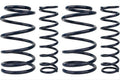 Pro-Action Sport Lowering Kit with Sport Springs