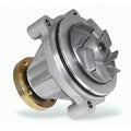 High-Flow Mechanical Water Pump