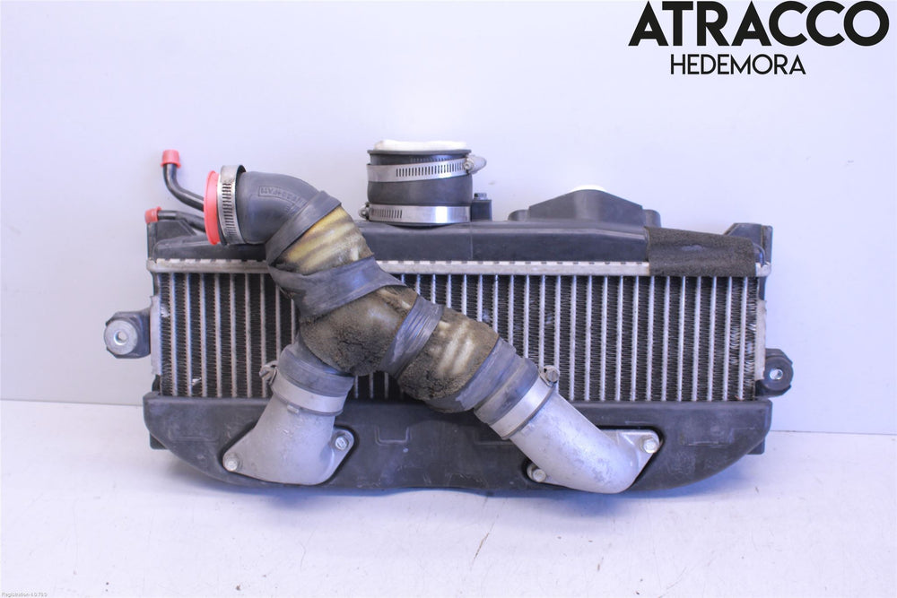 Exhaust Manifold