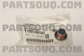 Expansion Plug