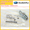 PCV Valve
