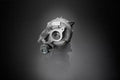 Turbocharger Assembly