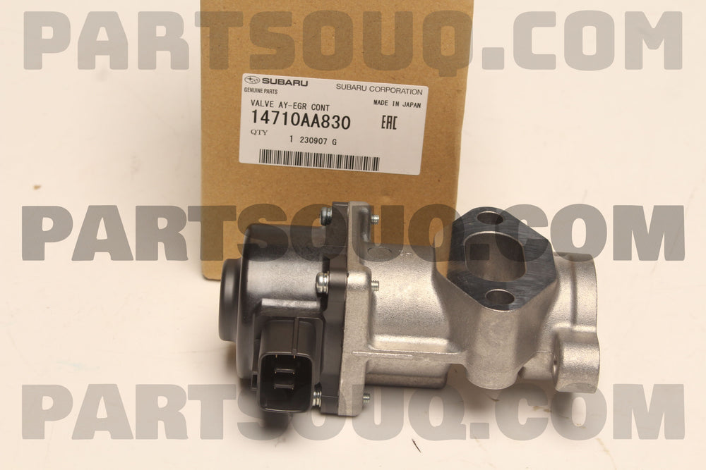 EGR Valve Assembly