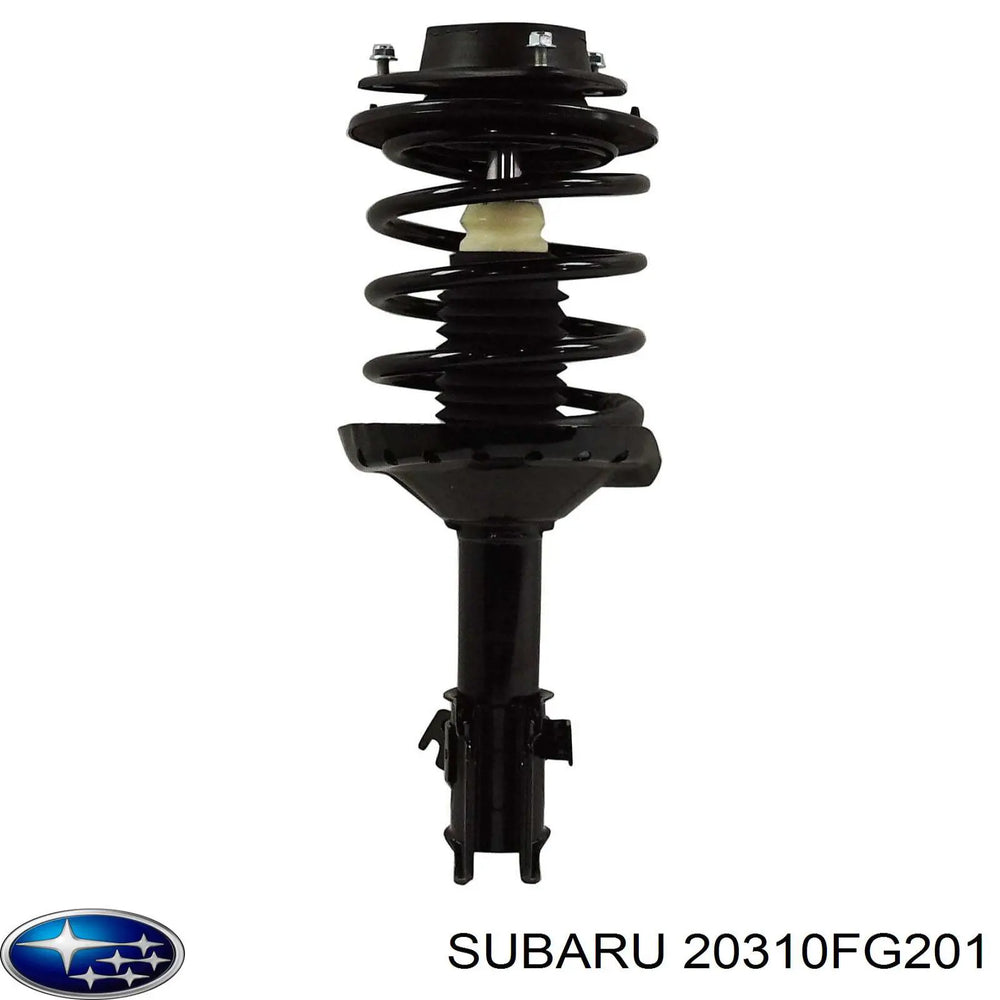 Front Right Strut Assembly