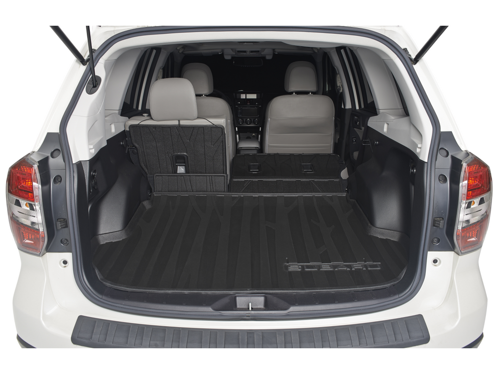 Rear Seat Cargo Protector