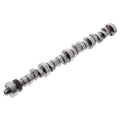 303 Plus Hydraulic Roller Street/Strip Camshaft