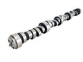 4.3L V6 Hydraulic Roller Camshaft