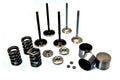 Dual Valve Spring Set for Honda B16A/B17A/B18C