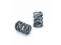 Dual Valve Spring Set for Honda B16A/B17A/B18C