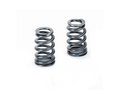 Beehive Valve Spring Set S65/S84 Engines