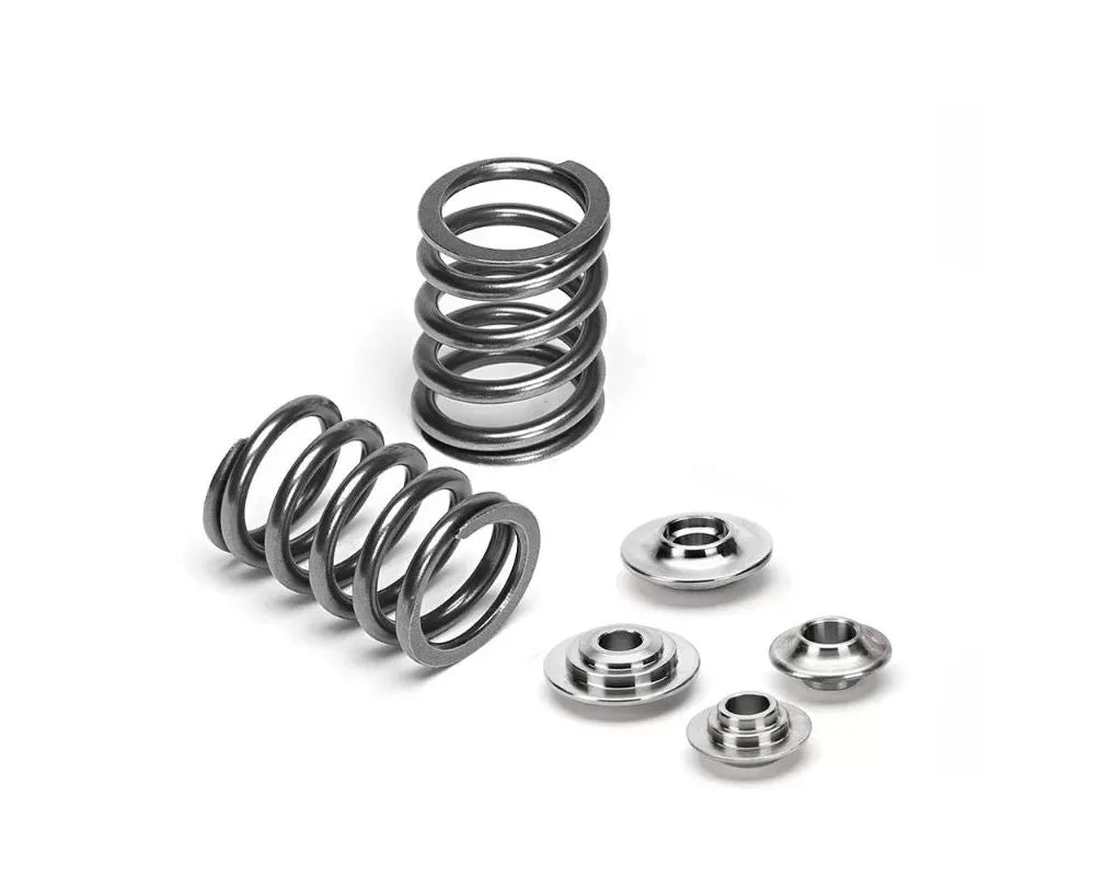Dual Valve Spring Kit