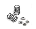Dual Valve Spring Kit