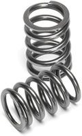 Dual Valve Spring Kit