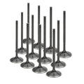 EV8 (21-4N) Black Nitride Intake Valve