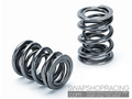 Valve Spring Kit